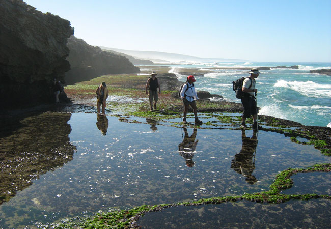 Western Cape Hiking Trails