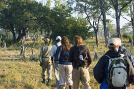 South Africa Walking Safaris