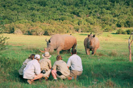 Walking Safaris in South Africa