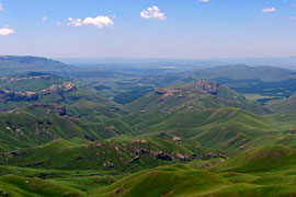 Bastervoedpad, Eastern Cape