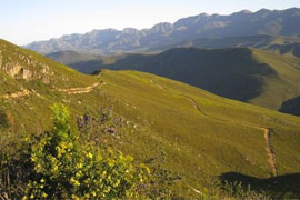 Eden to Addo Biodiversity Corridor