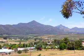 Joubertina