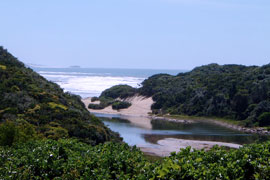 Kidds Beach