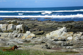 Kini Bay