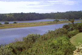 Kleinemonde
