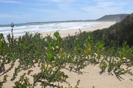 Oyster Bay, South Africa