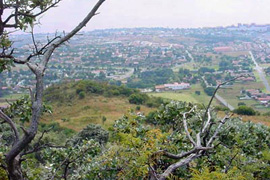 Mulbarton