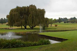 Rembrandt Park