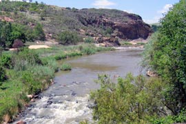 Renosterspruit