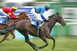 Turffontein Race Course, Johannesburg