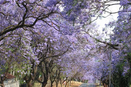 Waterkloof Glen