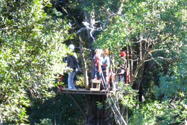 Canopy Tour in Storms River