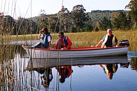 Sedgefield relaxation
