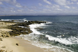 Vleesbaai