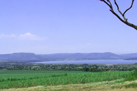 Albert Falls Dam Nature Reserve