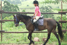 Horse 'n Home Equestrian Centre, Durban