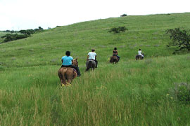 Horse 'n Home Equestrian Centre, Durban
