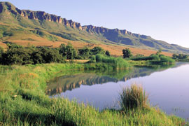 Kamberg