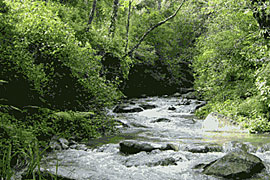 Karkloof
