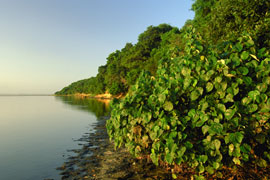 Kosi Bay