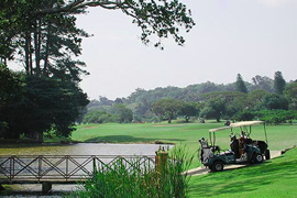 Mount Edgecombe