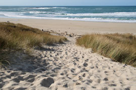 Photograph � Oslo Beach Lodge