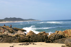 Photograph � Palm Cottage Bed & Breakfast