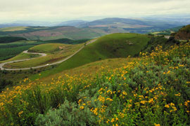 Long Tom Pass, Mpumalanga