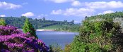 Accommodation in White River