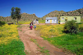 Kamieskroon
