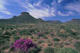 Three Sisters