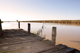 Berg River Canooze Photo � West Coast Biosphere Trails