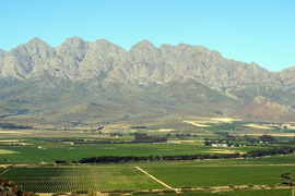 Breeriver