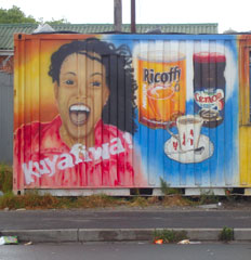 Cape Flats