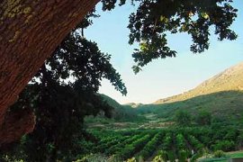 Photo courtesy of and � Boschkloof Farm Cottages in Citrusdal