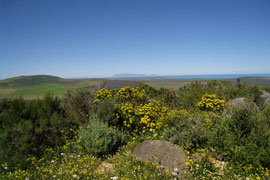 Eve's Trail Photo � West Coast Biosphere Trails