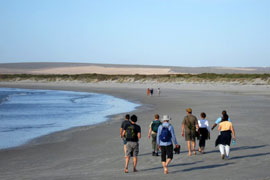 Five Bay Trail