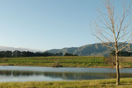 Grabouw