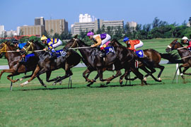 Kenilworth, home to Kenilworth Race Course