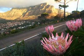Kloof Nek