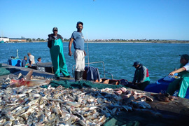 Kraalbaai
