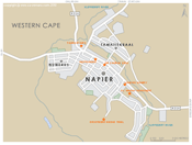 Street Level Napier Map