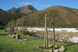 Mountain and Meadows Route