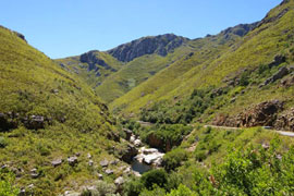 Mountain Treasure Route