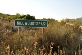 Nieuwoudt Pass