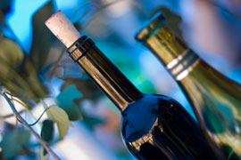 Olifants River Valley Wine Route, Cape Wine Routes