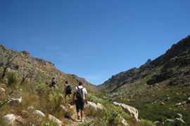 Peerboomskloof Pass