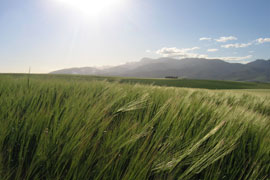 Riviersonderend