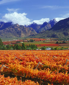 Route 62, South Africa