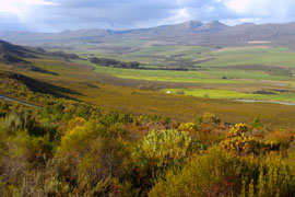 Shaw's Pass